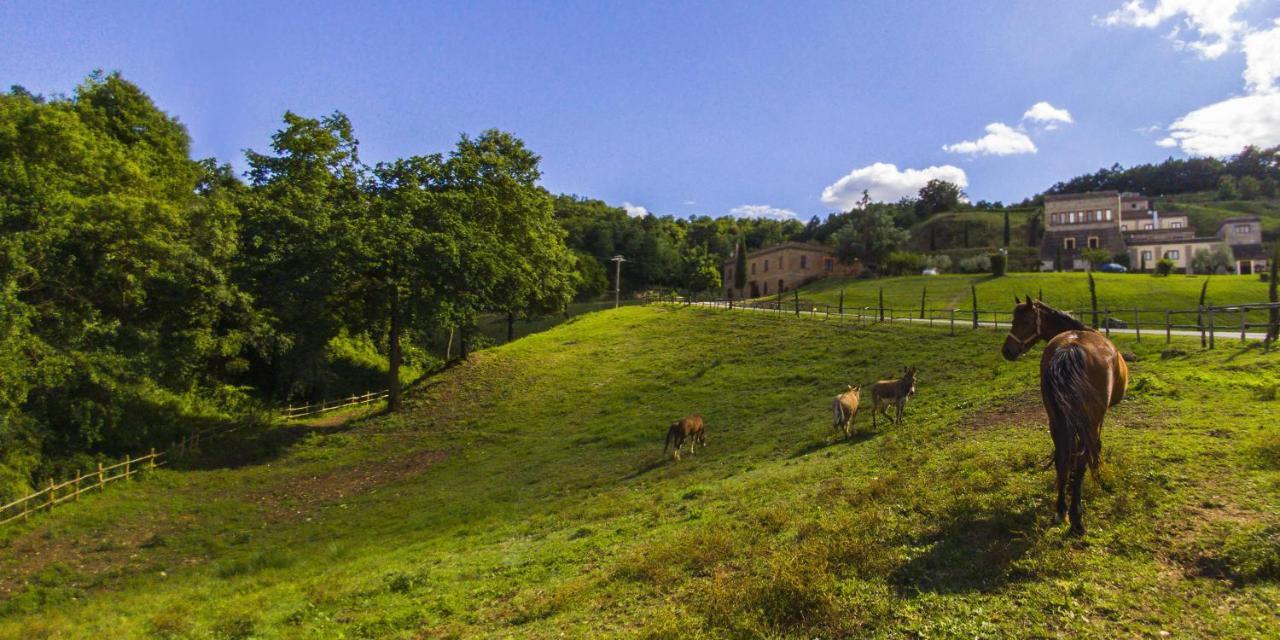 Agriturismo Rio Coverino Borghetto  Buitenkant foto